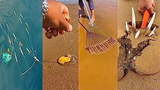 Activities of Chinese Fishermen Hunting Various Sea Animals around the Beach ???? Sea Creatures  