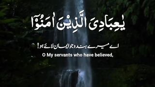 Beautiful Quran Recitation By Abdul Rahman Mossad With Urdu | MrMarkhor01