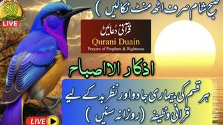 LIVE Morning Wazifa | Ayatul Kursi | 4Qul | Surah Baqgarah Last 2 Verses || 10 Masnoon Duain