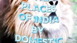 TOP 10 MOST VISITED PLACES IN INDIA 2024