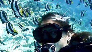 Scuba diving together with beautiful fishes