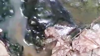 Monster Eel Tug of War