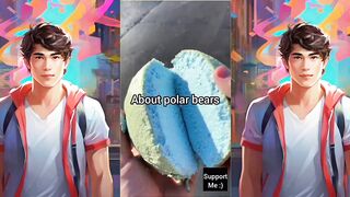 satisfying video and unique facts about polar bears ????