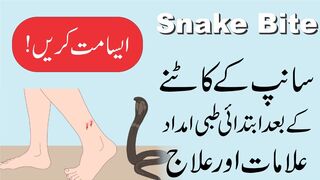 Snake Bite First Aid | Symptoms & Treatment | Urdu/Hindi