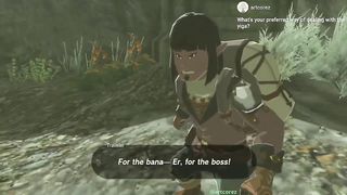 zelda tears of the kindom funny compilation