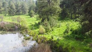 A lake in nature