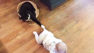 Baby and Cat Fun and Cute - Funny Baby