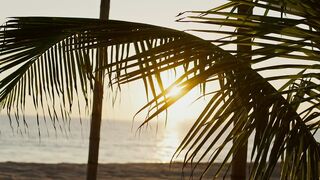 Sunset on the beach