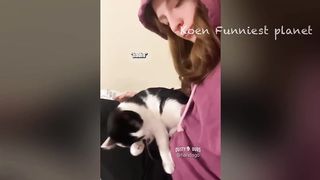 Funny Dogs And Cats Videos 2024 ???? - Best Funniest Animal Videos Of The week #8