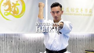 Performance of Heiku kata from Shitoryu style karate