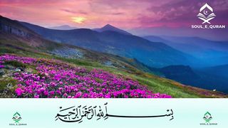 Surah Muzammil ( Al Muzammil ) with Urdu translation _ Tilawat e Quran with Urdu