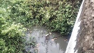 Detik detik dapat ikan lele terbesar di sungai kecil