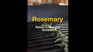 Rosemary - Nature's Memory Booster