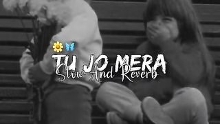 TU JO MERE HAMISHA (slow x Reverb) new remix and old song naseebo lal waiting for end