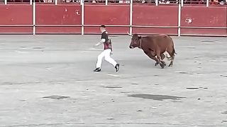 race with bulls