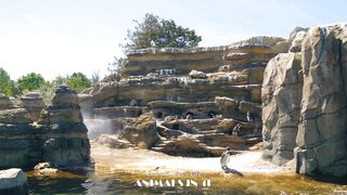 4K UHD Wild Animals - Nature Sounds, Relaxing Scenery - Trailer