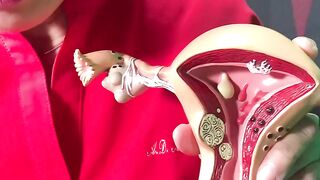 Uterus and more matters by Gynecologist