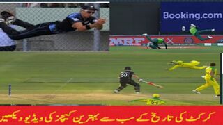 Best Catches In Cricket History ll IPL ll PSL ll CPL