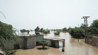 Suthluj river flood