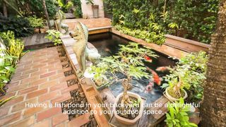 Create and maintain a fish pond in your backyard