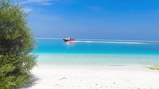 One of the main reasons for this color of water in the Maldives is the presence of white sand at the bottom of the ocean.