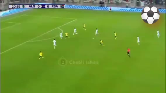 Algeria vs south Africa (les meilleurs GooooooLs by Adnanov on Febspot