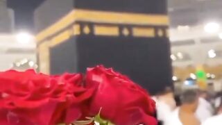 Makka madina shorts|madina hajj videos|madine mein jinnat ka video √