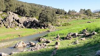 Nature of Morocco National Park