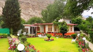 Chitral Laspur