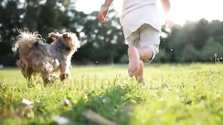 Happy kid playing with dog