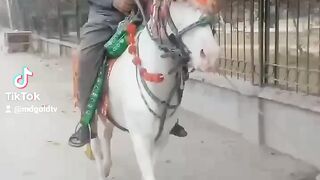 Horse Riding