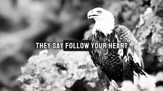 THEY SAY FOLLOW YOUR HEART