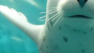 Cute anime animals Videos cute moment of the animals