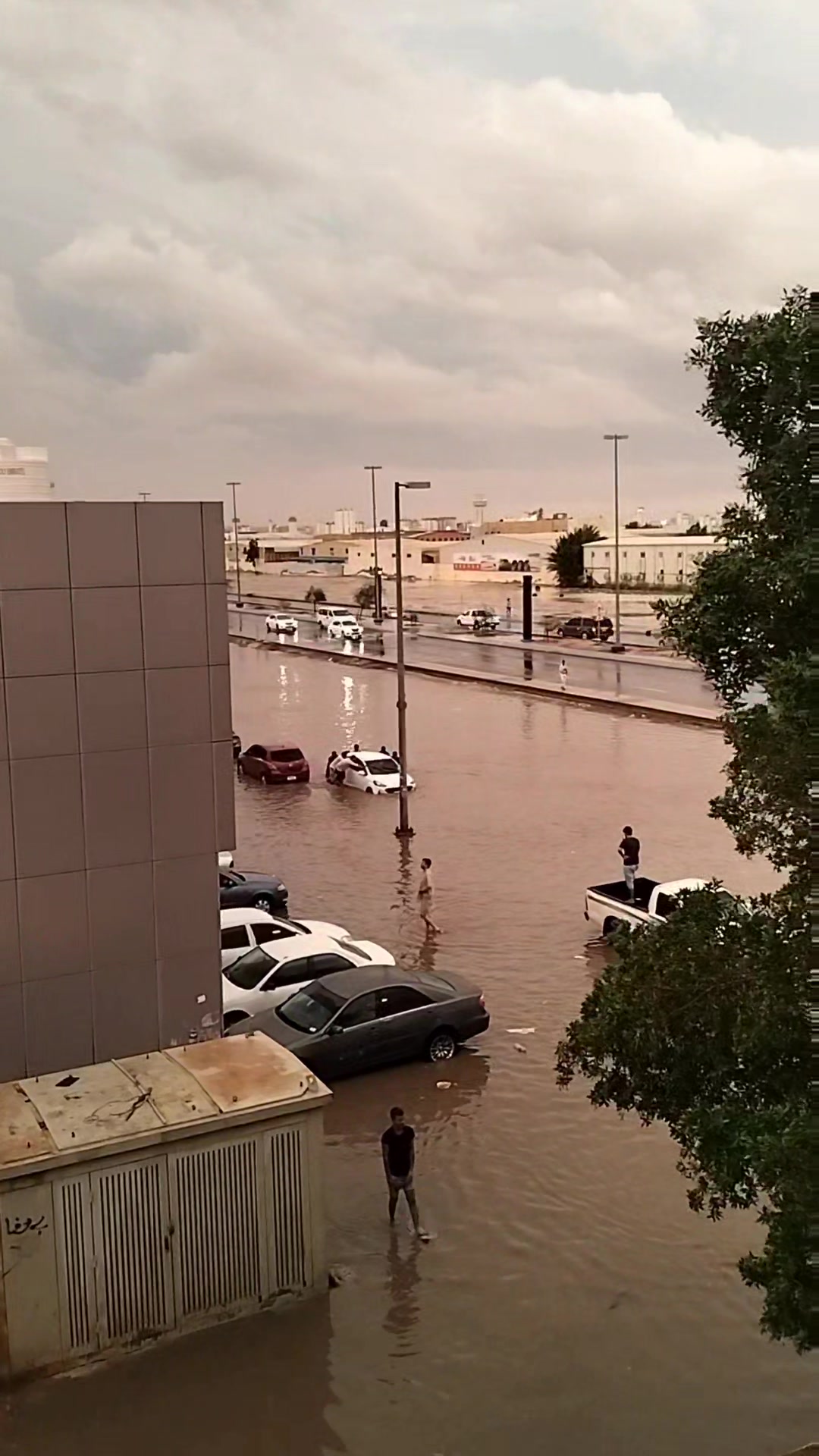 rain in abu dhabi