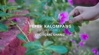 Lagu Madura//pepeh kalompang