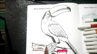 DRAWING BIRD BEAUTIFUL