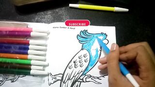 DRAWING BIRD KAKAK TUA