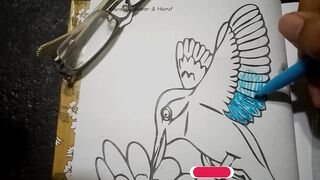 DRAWING KALBRI BIRD