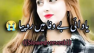 ((یاد_ائی_بے_وفا_مروپیا_))_slow_end_music___saraiki_slow_song___subscribe_my.