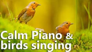 When piano melodies mix with birds singing. The most beautiful calm music to relax and sleep