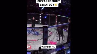 UFC fight ko