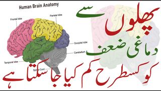 l:Treatment with Fruits ll  How to cure brain damage with fruits.