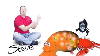 Sea Animals for Kids from Maggie And Steve Stories