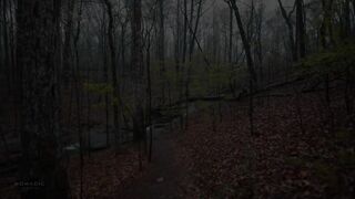 Nature Walk in Thunderstorm, Binaural Rain on Umbrella Sounds for Sleep and Study, ASMR.