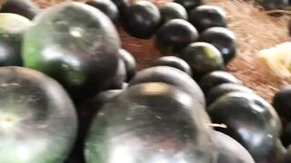 Water melon shopping haul