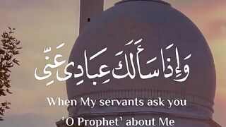 Tilawat e Quran beautiful voice with English translation