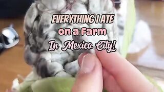 Everything I ate on a farm in Mexico City! #foodie