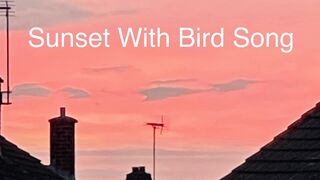 Awesome Sunset and Bird Song - Tue 11/Jun/24