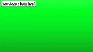 How Does A Bone Break Heal