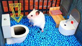 ???? Hamster Escapes the Creative Maze for Pets in real life ???? in Hamster Stories 3